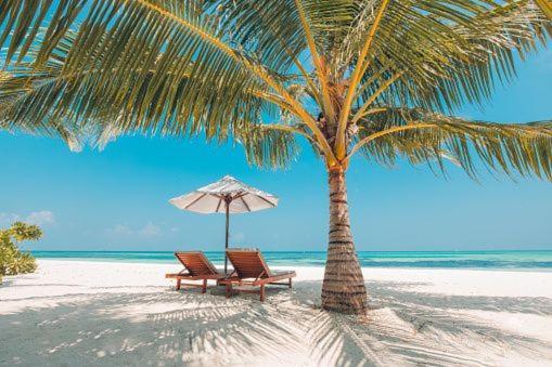 Gorgeous Beachy Chic Condo In Key Biscayne Маямі Екстер'єр фото